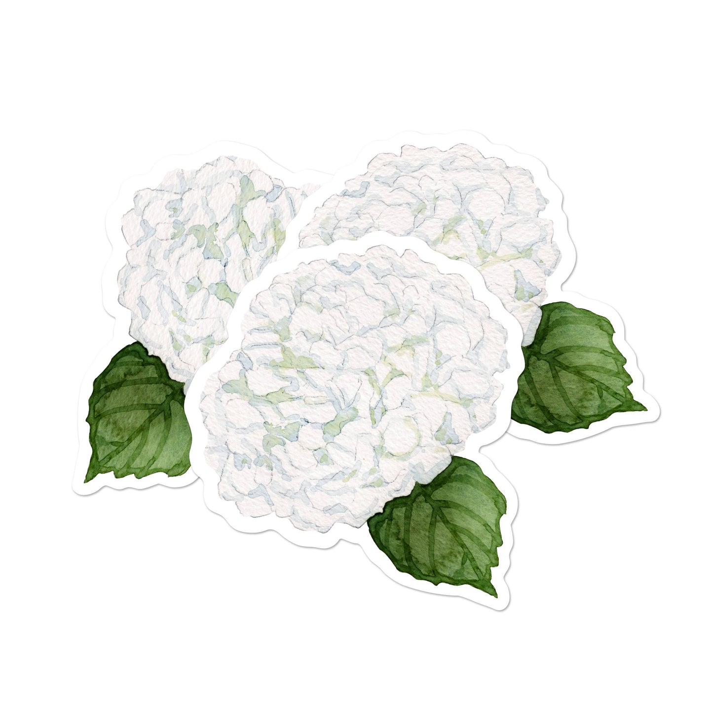 White Hydrangea Place Cards | Set of 8