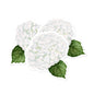 White Hydrangea Place Cards | Set of 8