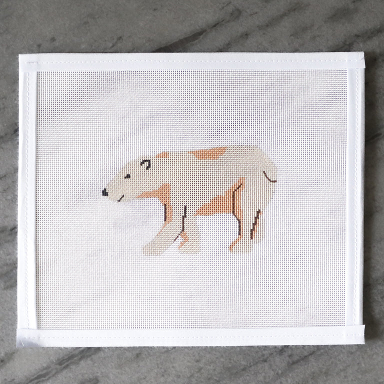Polar Plunge-TS