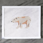 Polar Plunge-TS