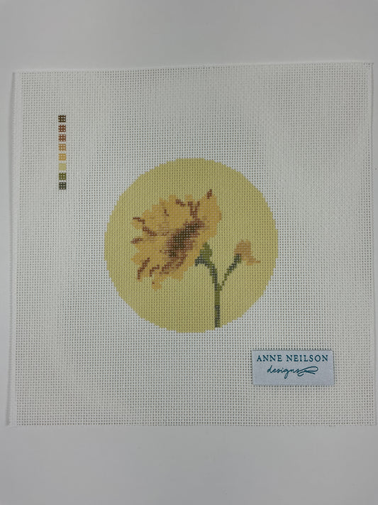 Renew Watercolor Round