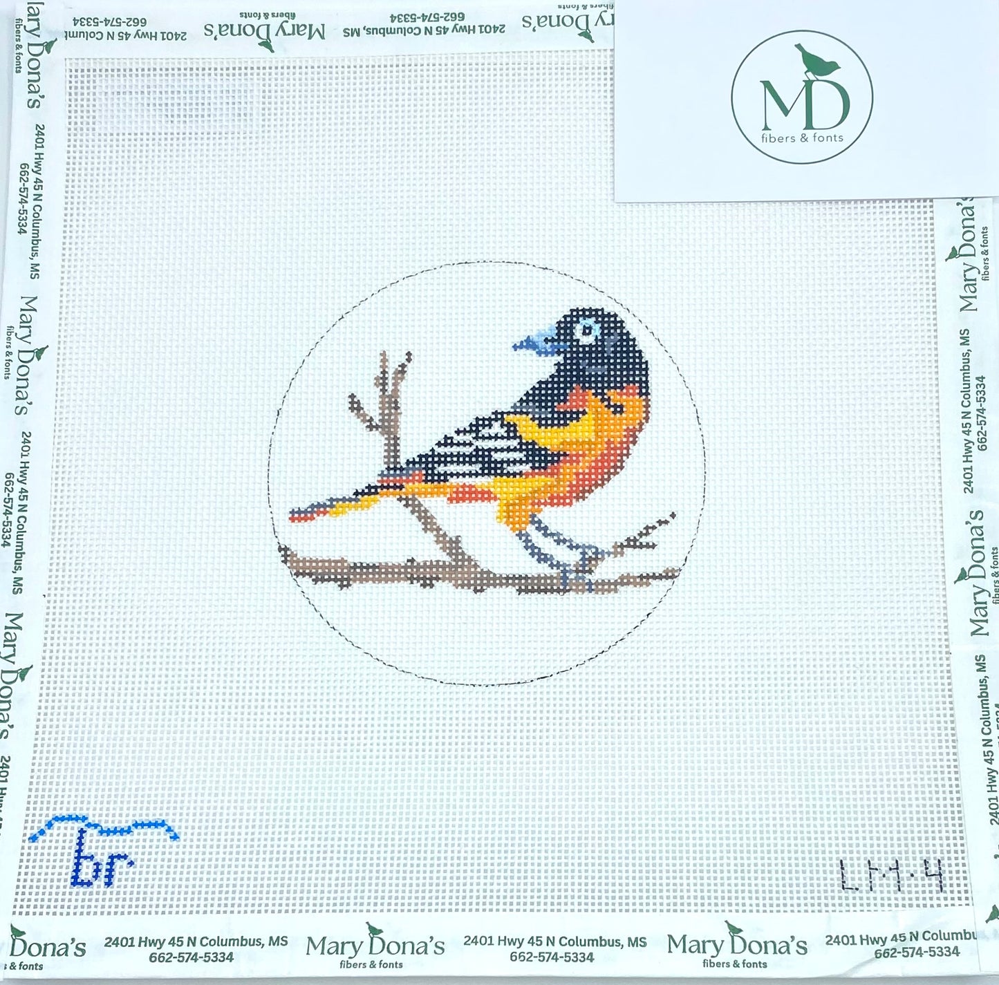 Baltimore Oriole