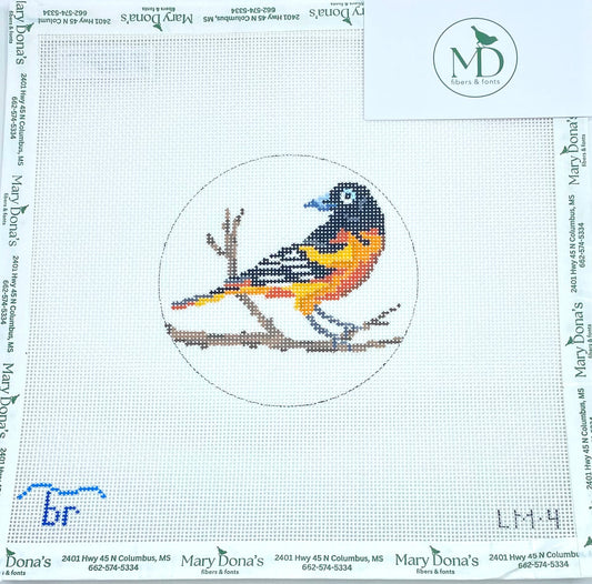 Baltimore Oriole