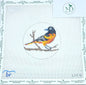 Baltimore Oriole