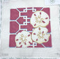 Sand Dollars on Lattice/Pink