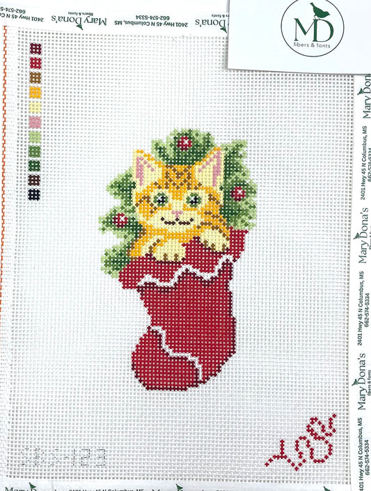 Tabby Kitten in a Stocking