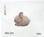Baby Bunny Mini