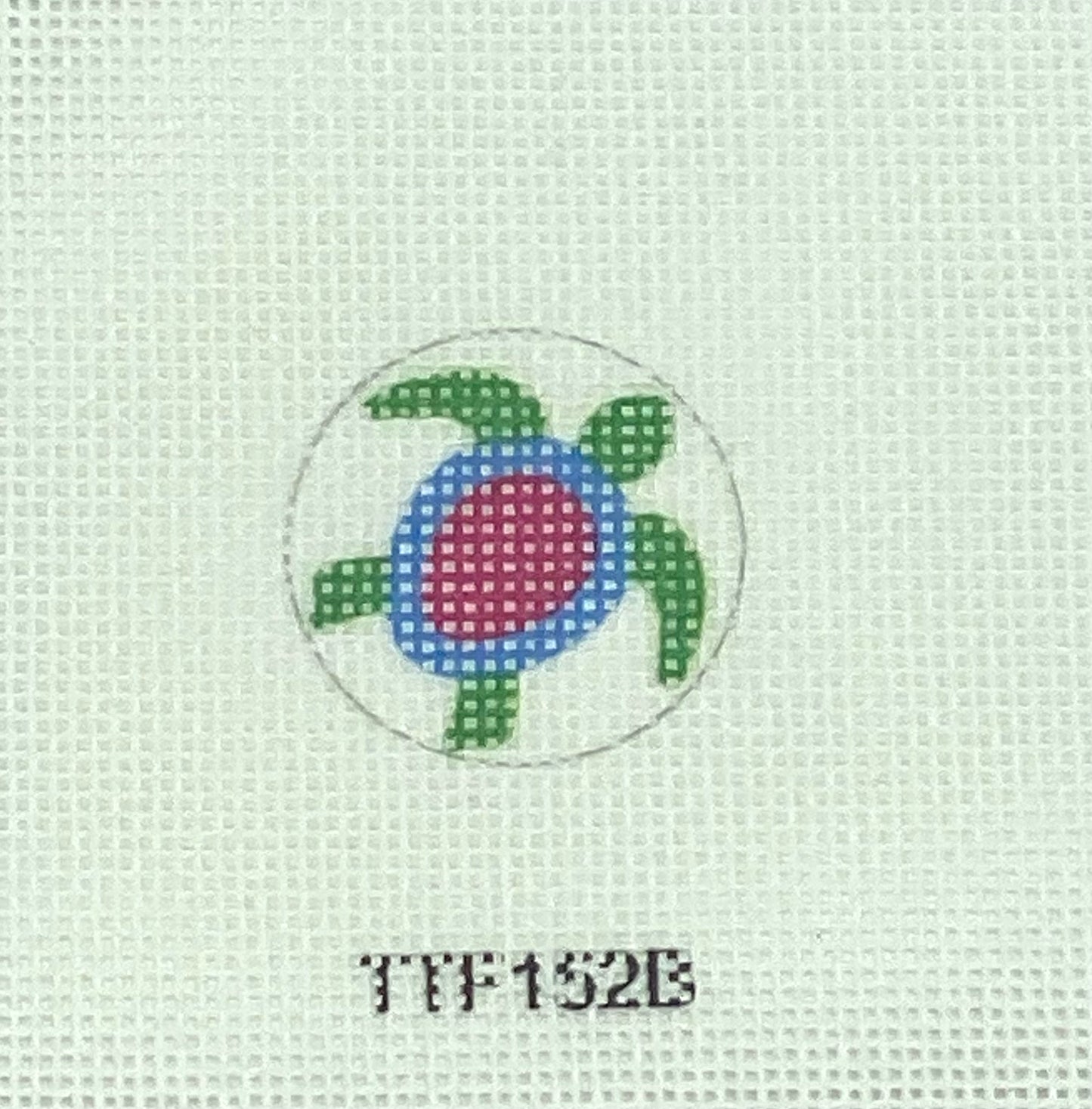 Turtle Aqua/Hot Pink