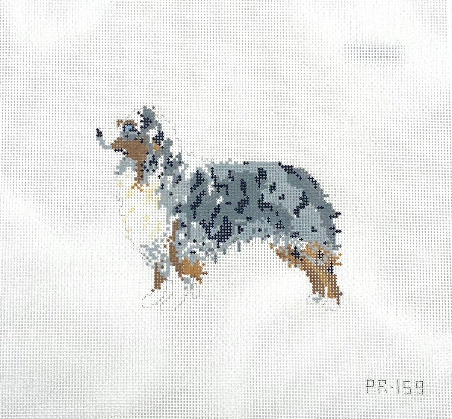 Australian Shepherd