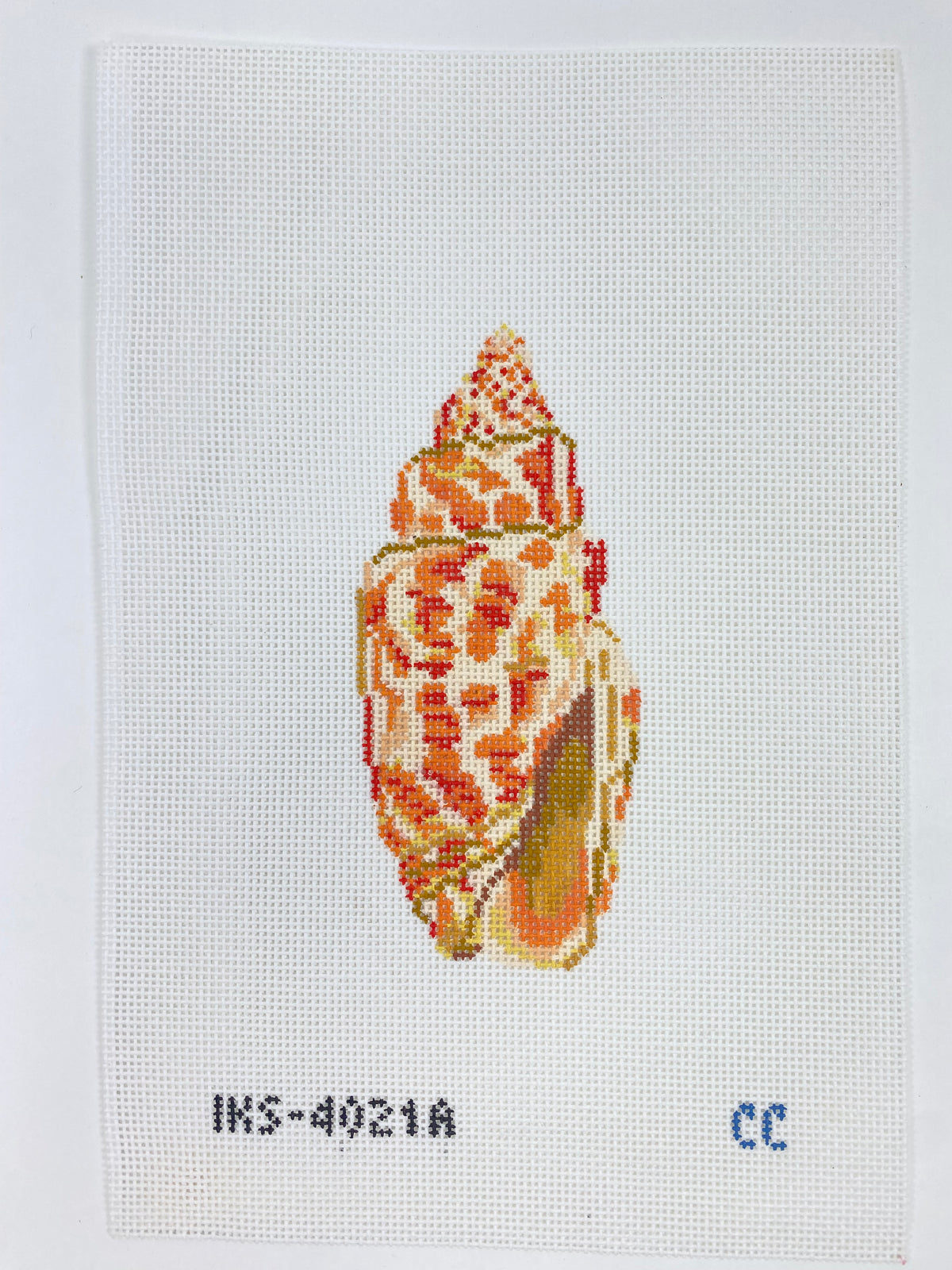 Miter Seashell