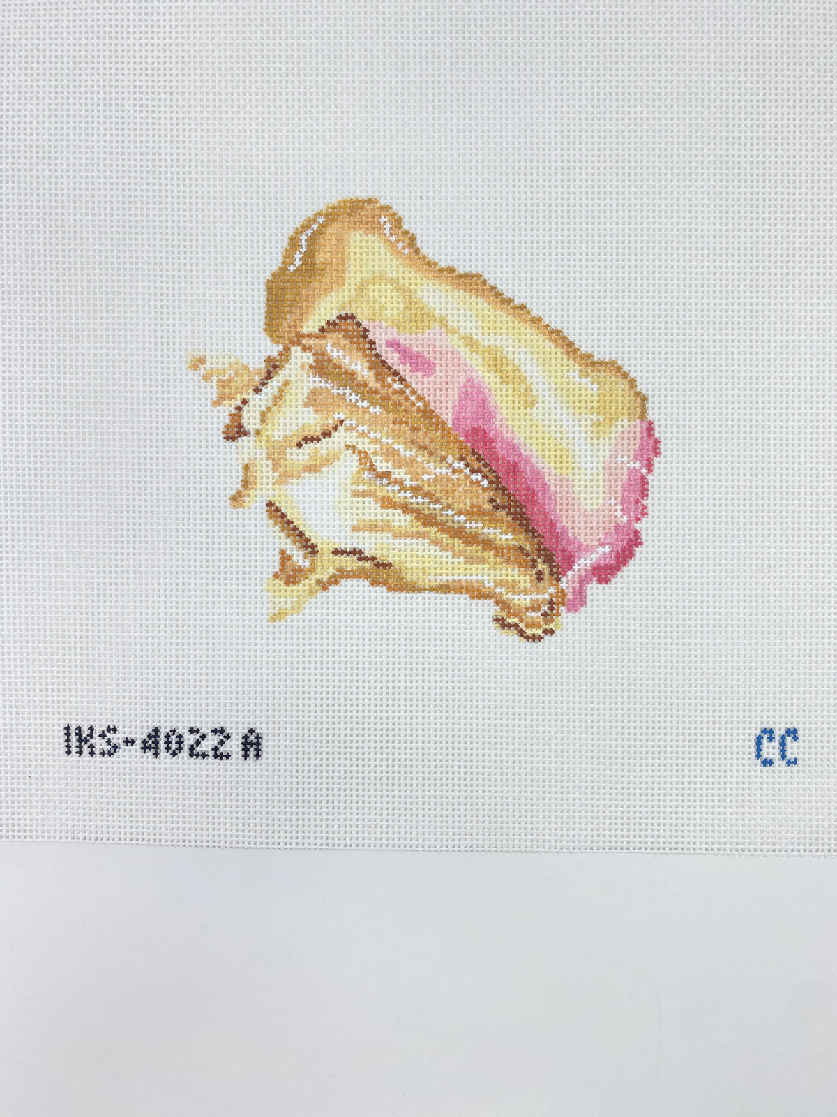 Queen Conch