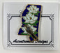 Mississippi Needle Minder