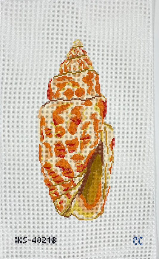 Miter Seashell Large