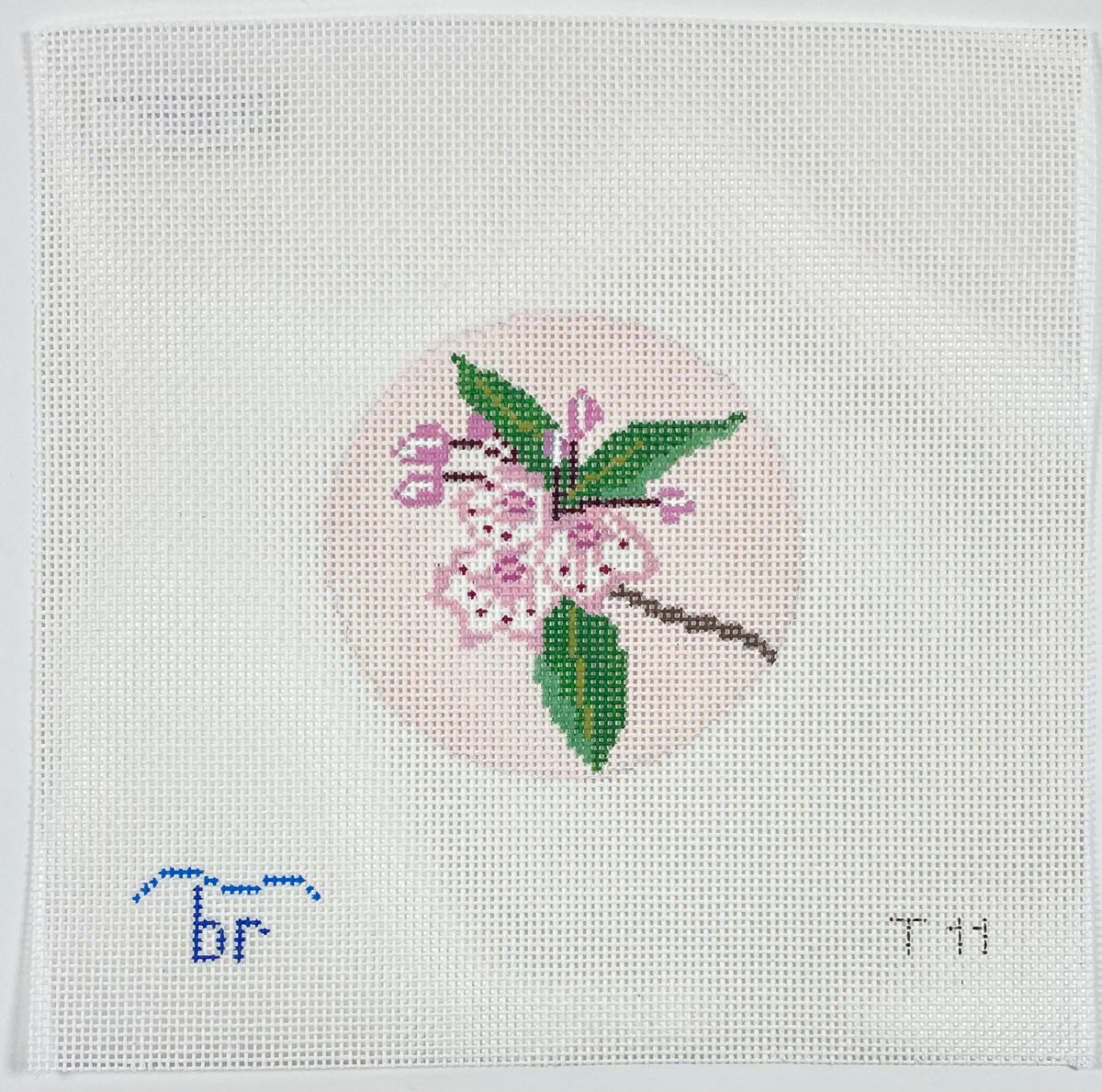 Mountain Laurel