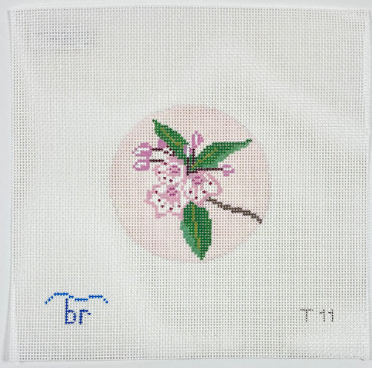 Mountain Laurel