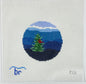 Blue Ridge Cardinal - 13m