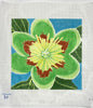 Tulip Poplar