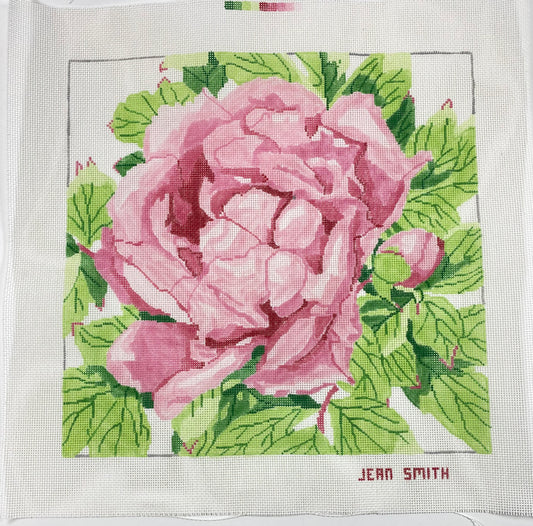 Pink Peony