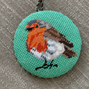 Robin Red Breast