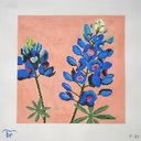 Bluebonnet